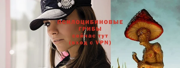 ешки Абинск
