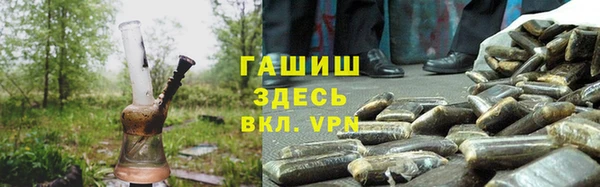 прущие грибы Абаза