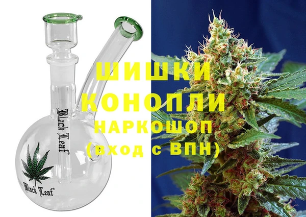 прущие грибы Абдулино